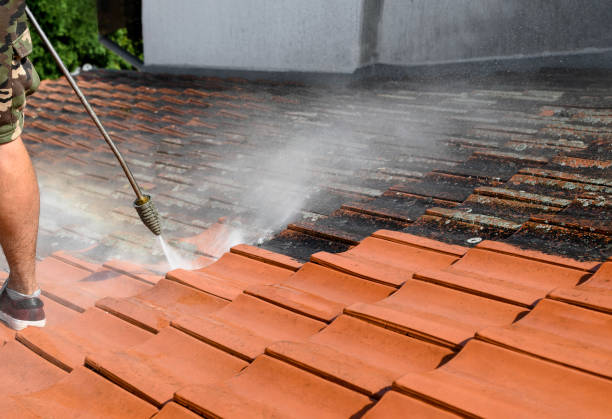 Best Local Pressure Washing Services  in Iona, ID